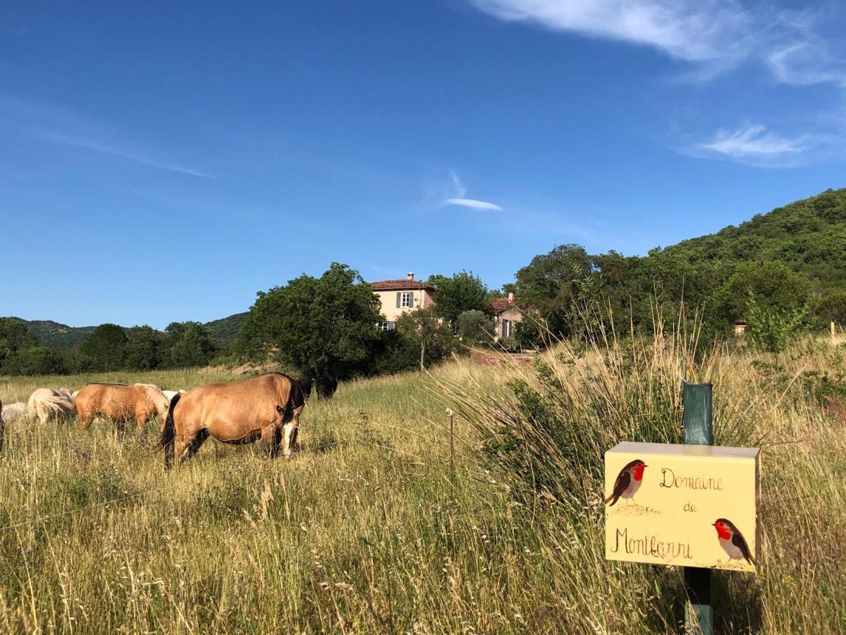 Domaine De Montbarri Bed & Breakfast La Tour-sur-Orb Luaran gambar