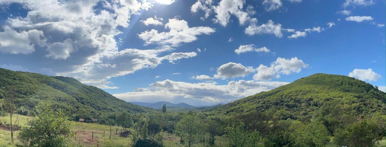 Domaine De Montbarri Bed & Breakfast La Tour-sur-Orb Luaran gambar