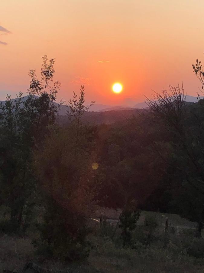 Domaine De Montbarri Bed & Breakfast La Tour-sur-Orb Luaran gambar