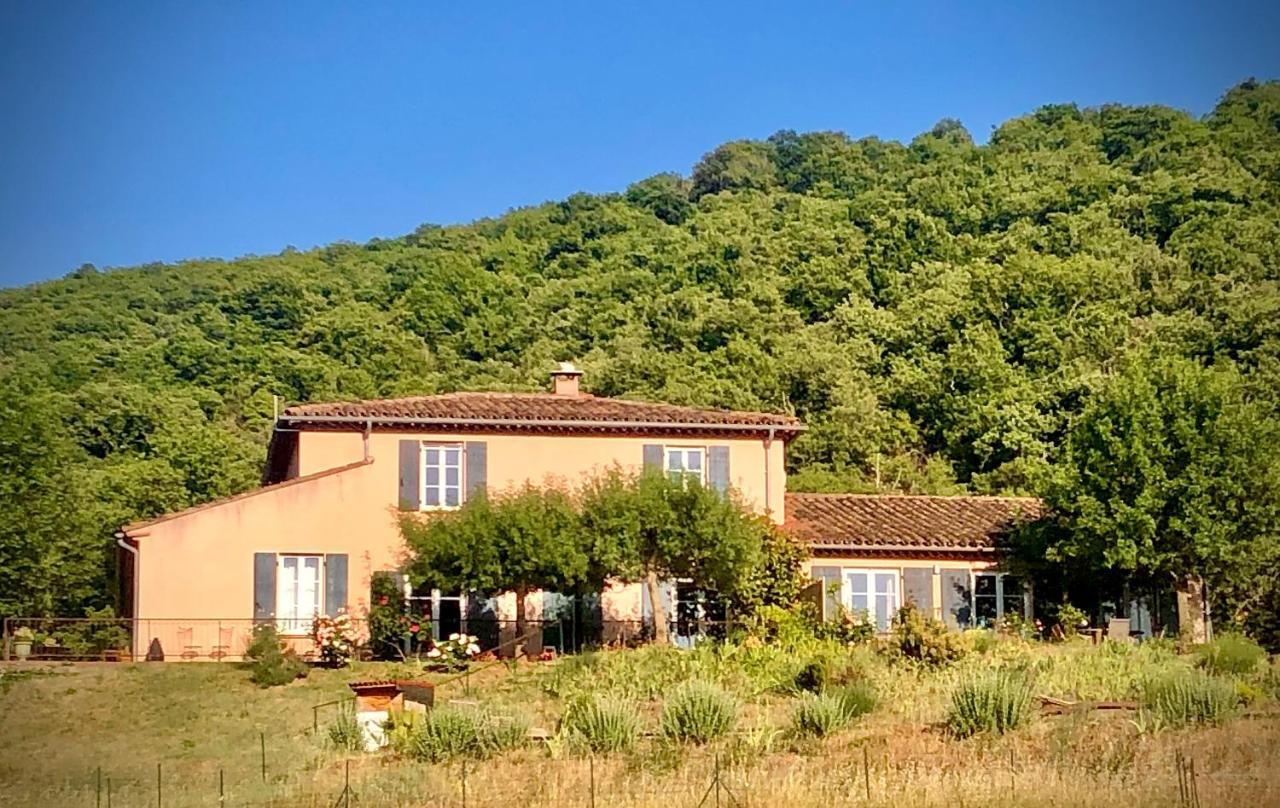 Domaine De Montbarri Bed & Breakfast La Tour-sur-Orb Luaran gambar